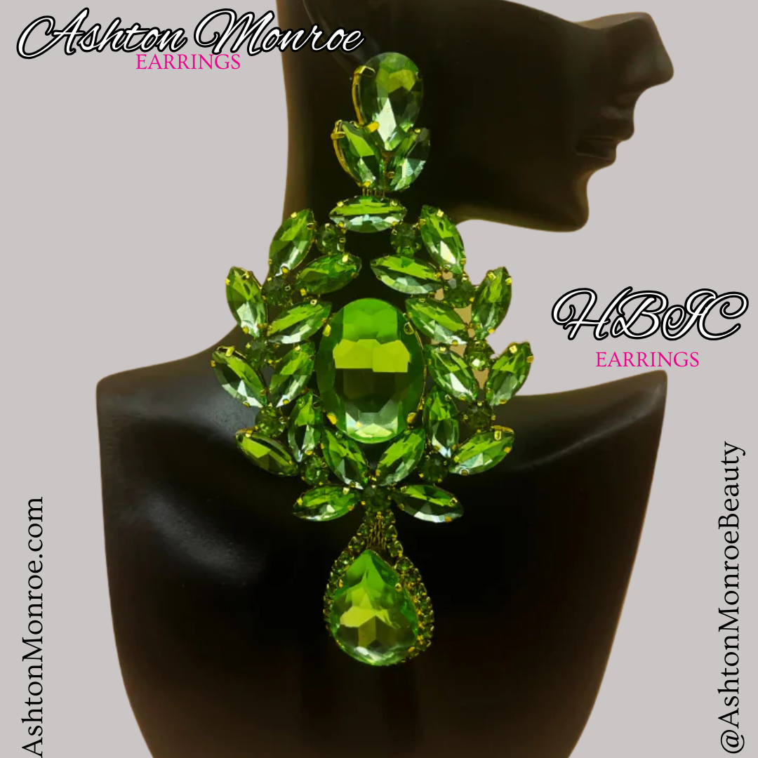 H.B.I.C. EARRINGS